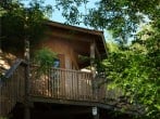 treehouse treehouse